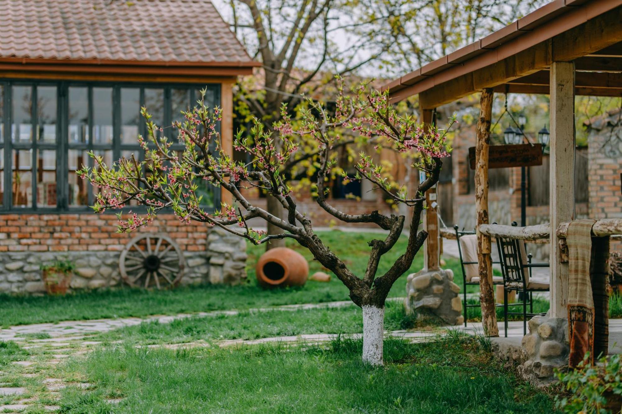 Hotel & Wine Cellar Arge Telawi Zewnętrze zdjęcie